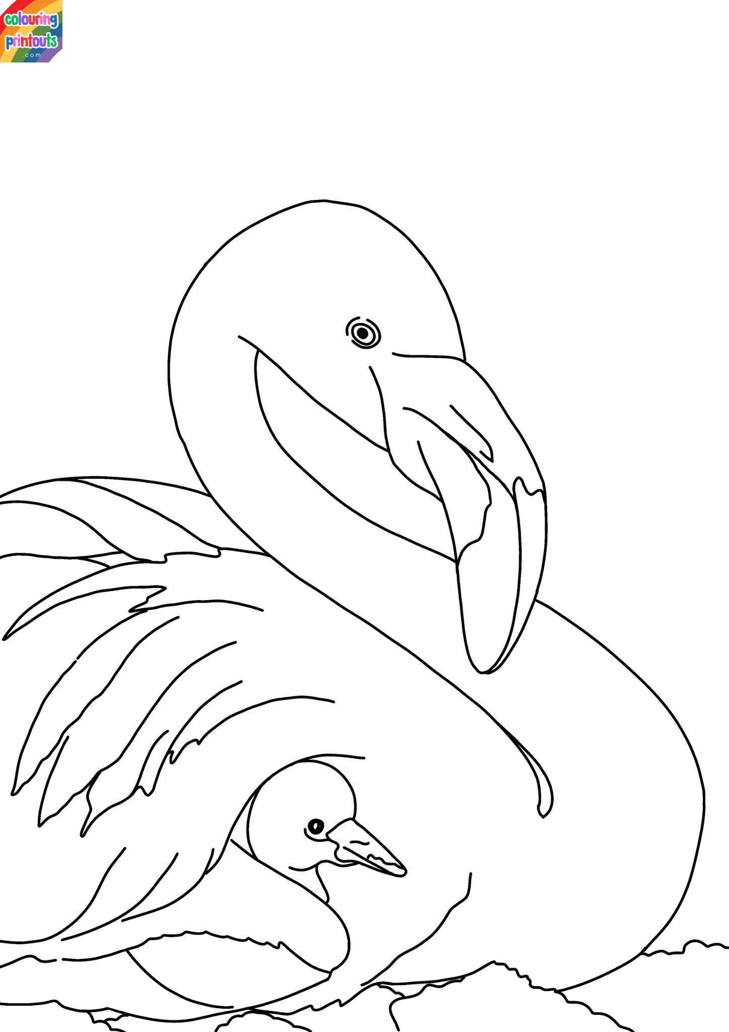 Coloring Pages Of Flamingos