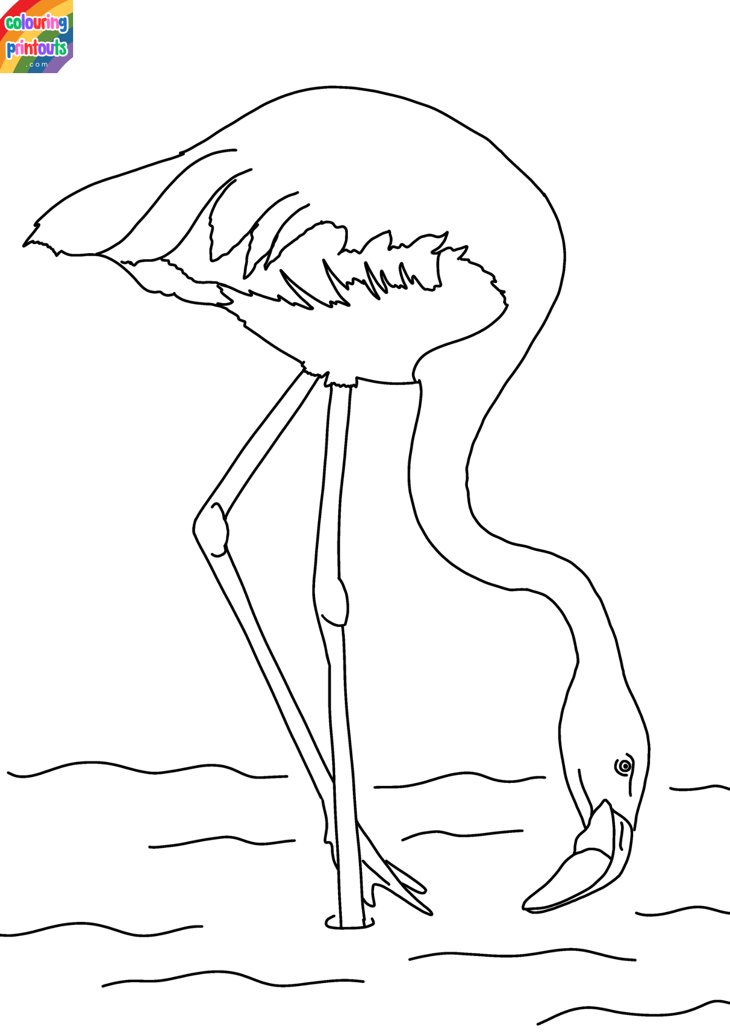 Coloring Pages Of Flamingos