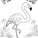 Colouring Pages Of Flamingos