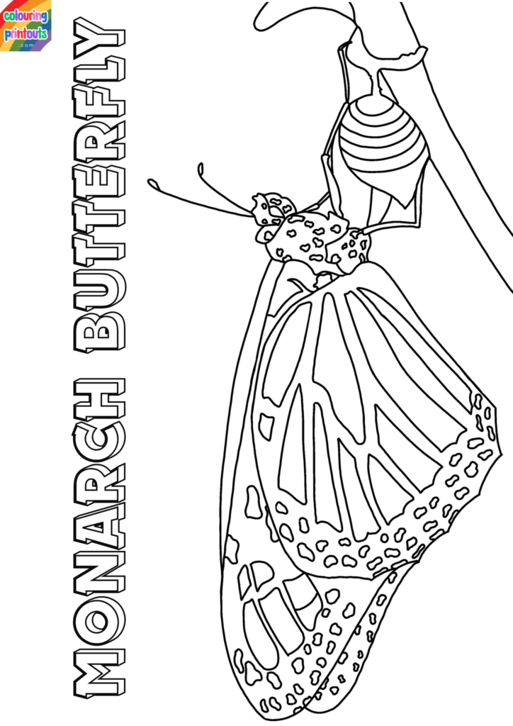 Monarch Butterfly Coloring Pages Printable (2)