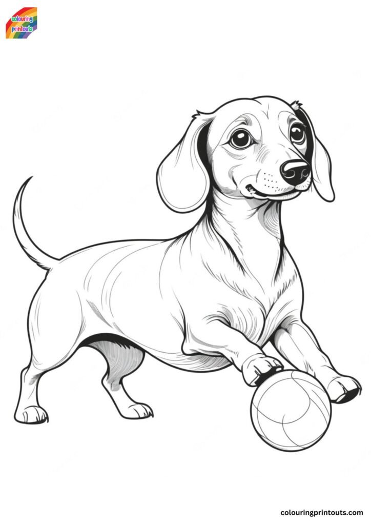 10+ Sausage Dog Colouring Pages