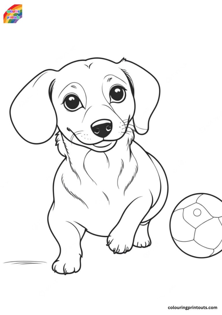10+ Sausage Dog Colouring Pages