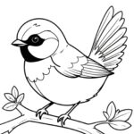 black capped chickadee coloring page