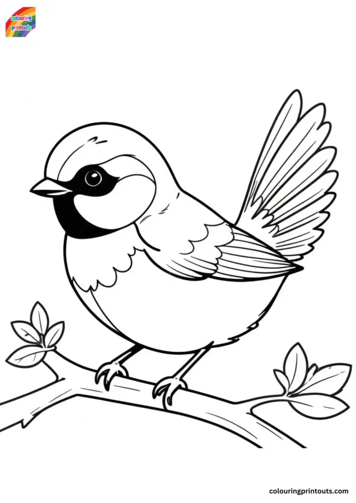 black capped chickadee coloring page