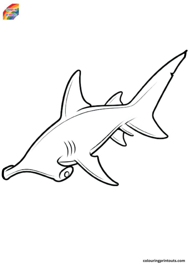 Hammerhead Shark Pictures To Color