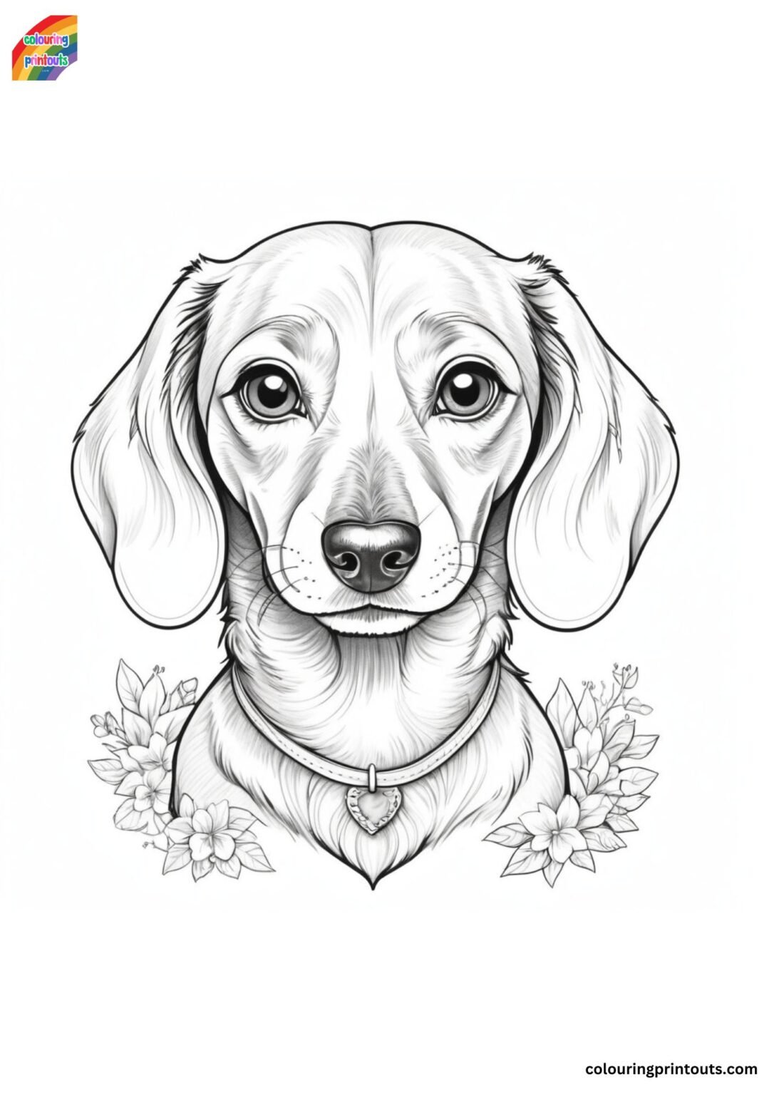 10+ Sausage Dog Colouring Pages