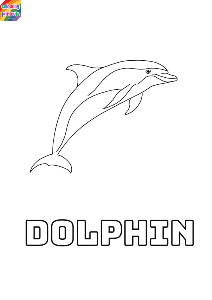 colouring pictures of dolphins