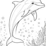 dolphin coloring page printable