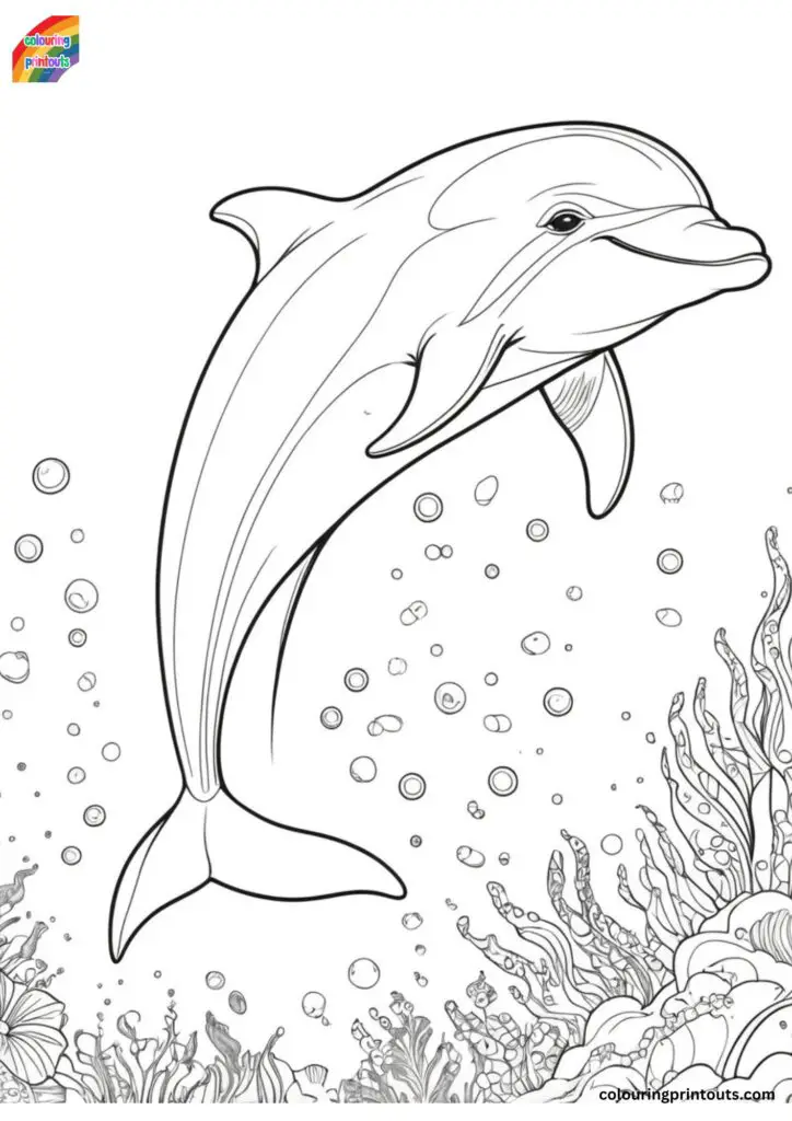 dolphin coloring page printable