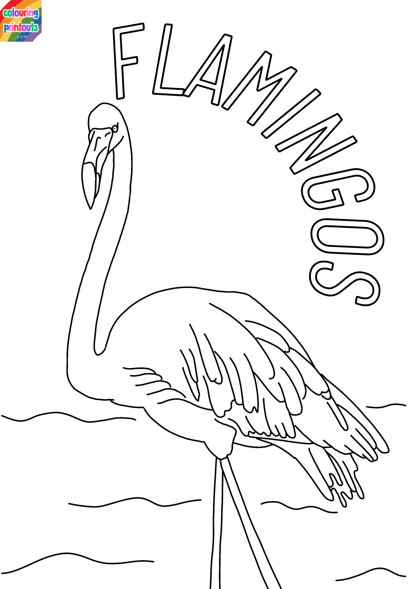 flamingo color sheet
