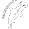 hammerhead shark coloring sheet