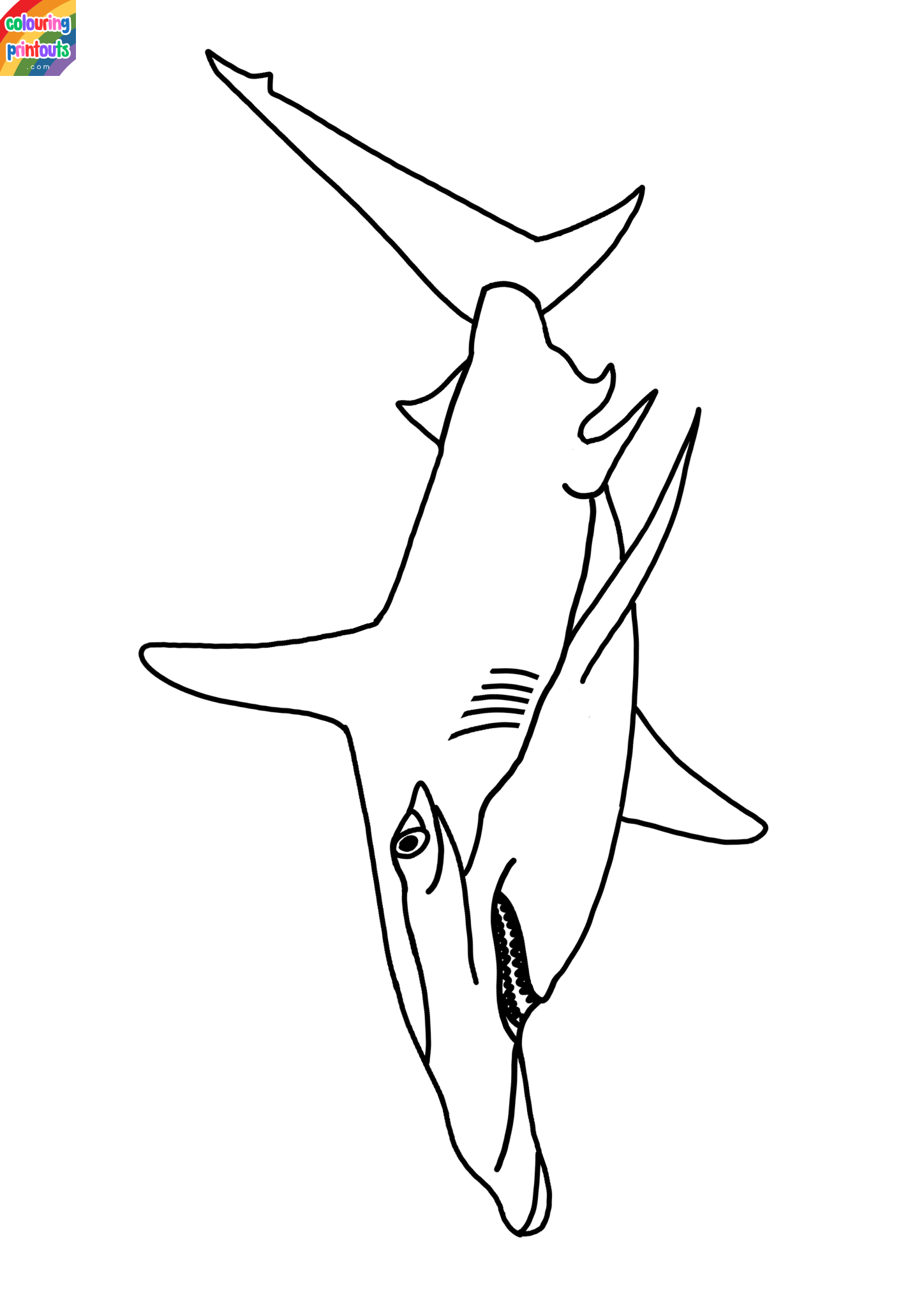 hammerhead shark coloring sheet 