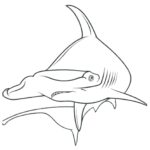 hammerhead shark printable