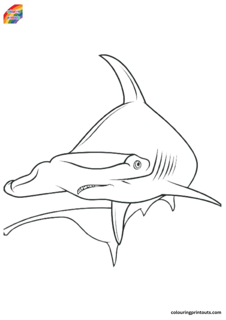 hammerhead shark printable