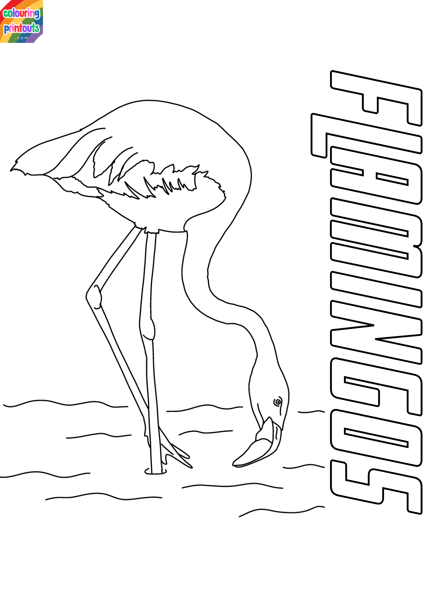 pictures of flamingos to color