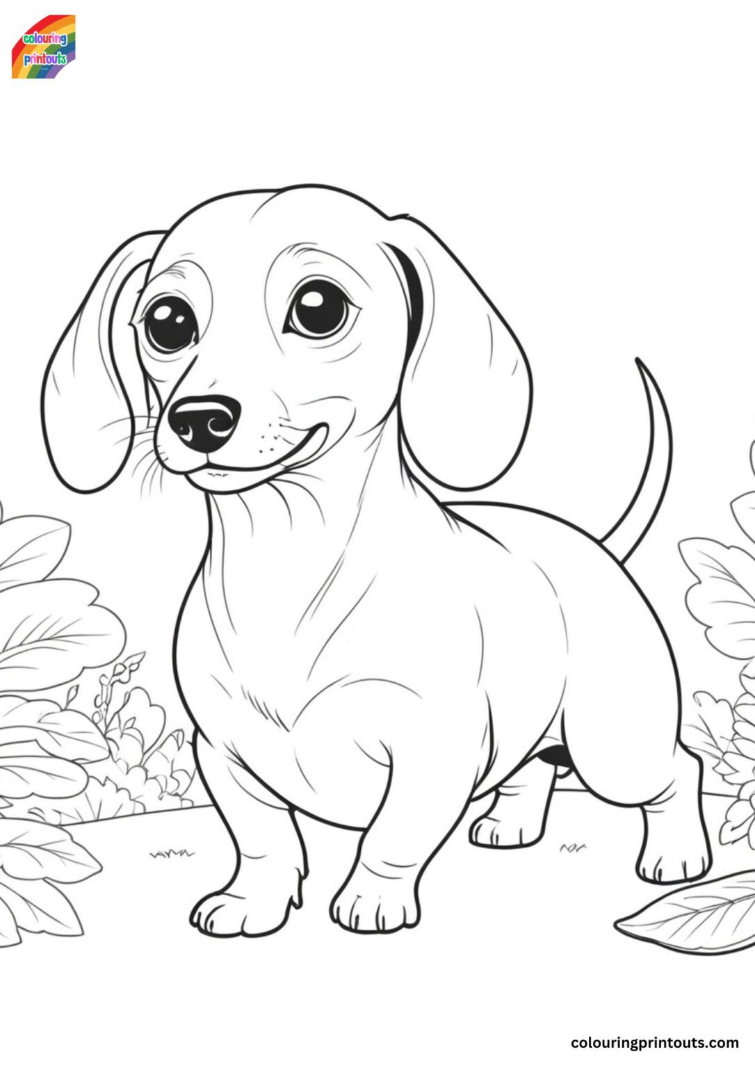 10 sausage dog colouring pages