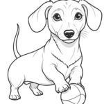 sausage dog coloring page