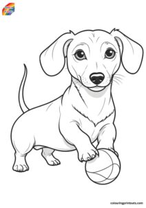 10+ Sausage Dog Colouring Pages
