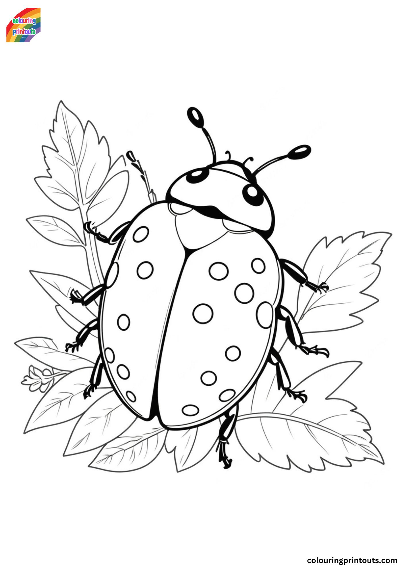 10 + Ladybird Colouring Pages