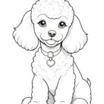 Poodle dog coloring pages