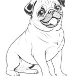 Realistic pug colouring pages