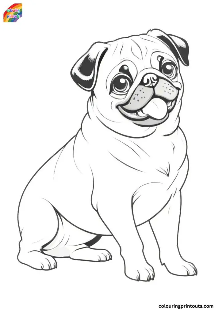 Realistic pug colouring pages