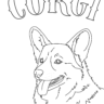 corgi coloring pages (4)