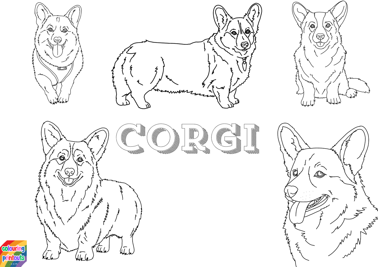 corgi coloring pages printable (1)