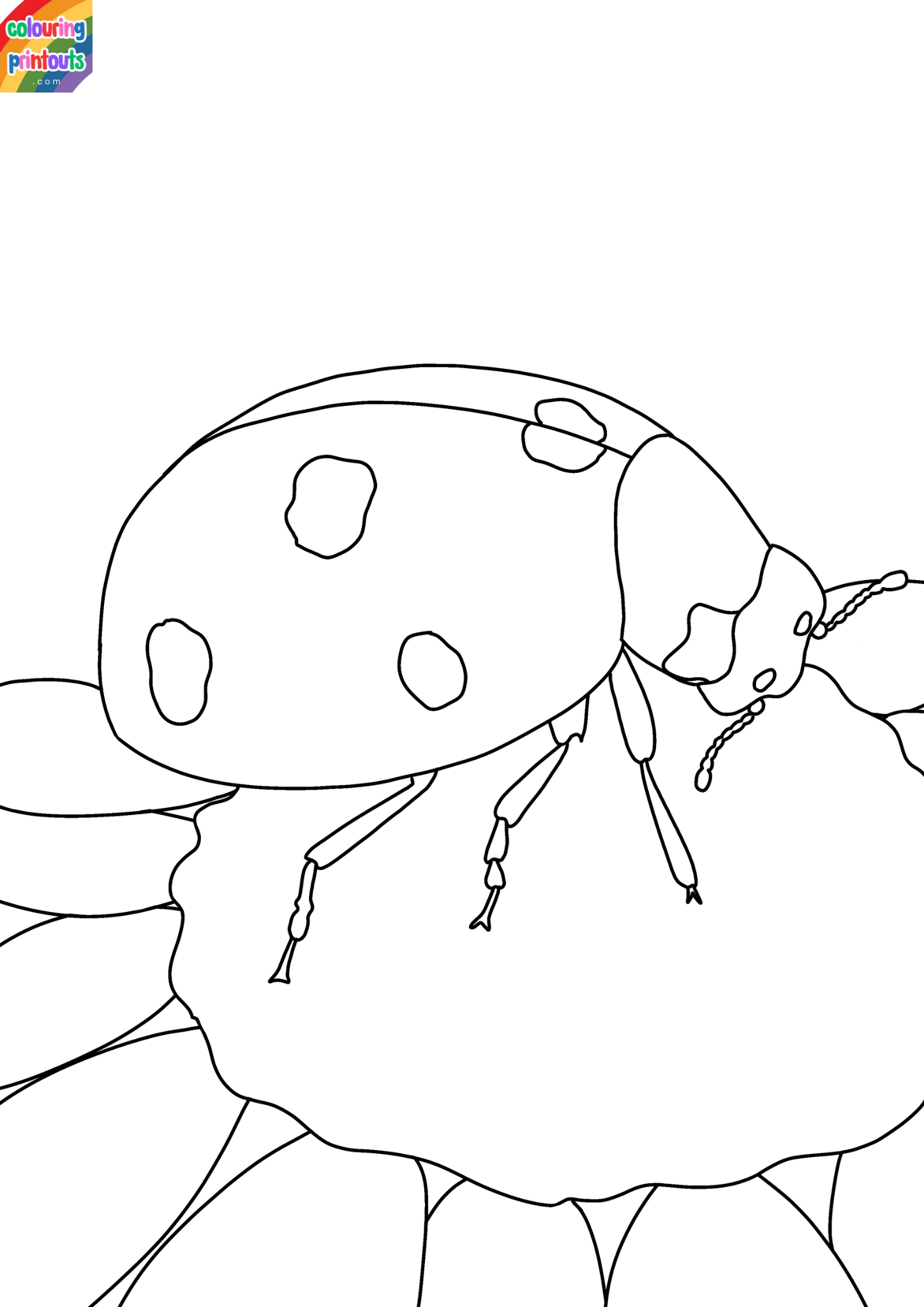 ladybird colouring pages (6)
