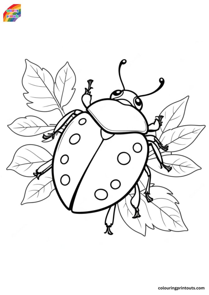 10 + Ladybird Colouring Pages