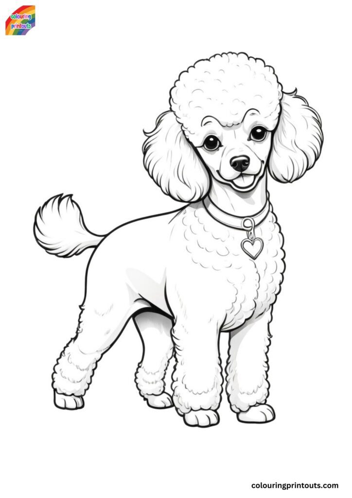 15+ Coloring Pages of Poodles (FREE PRINTABLES)