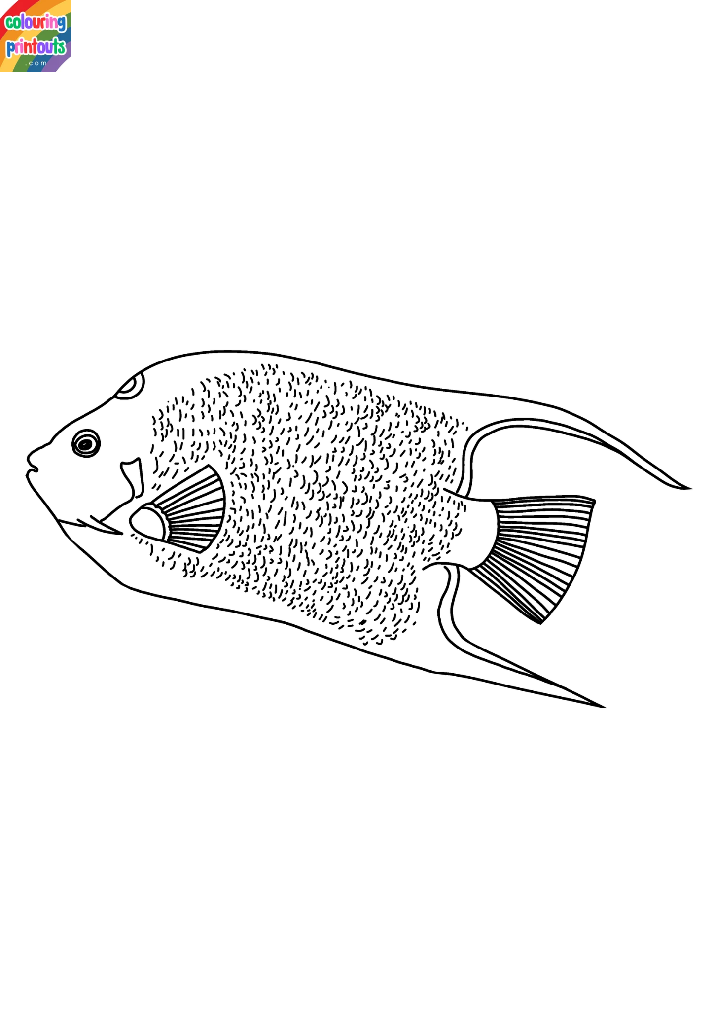 Angelfish Coloring Pages