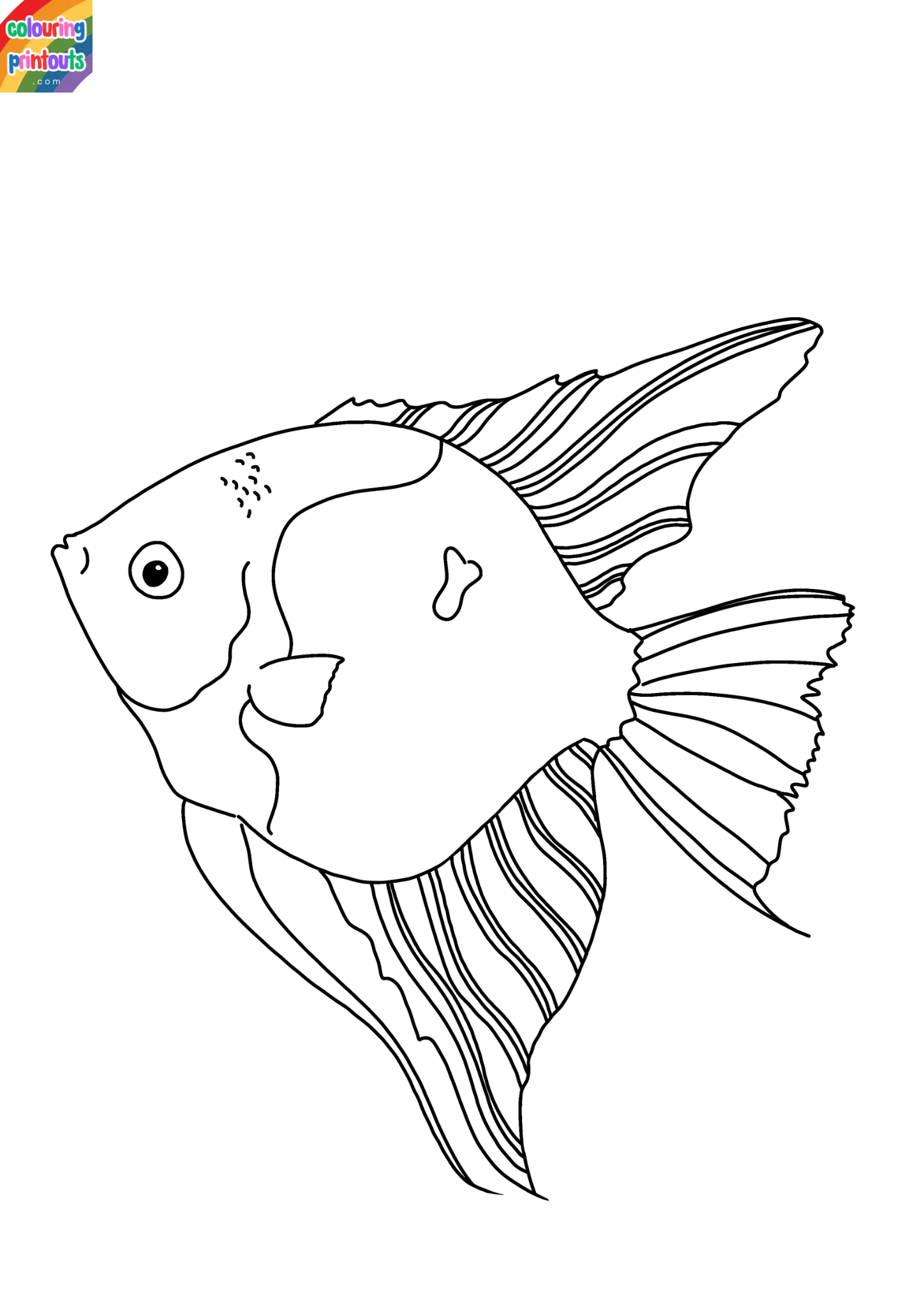 Angelfish Coloring Pages