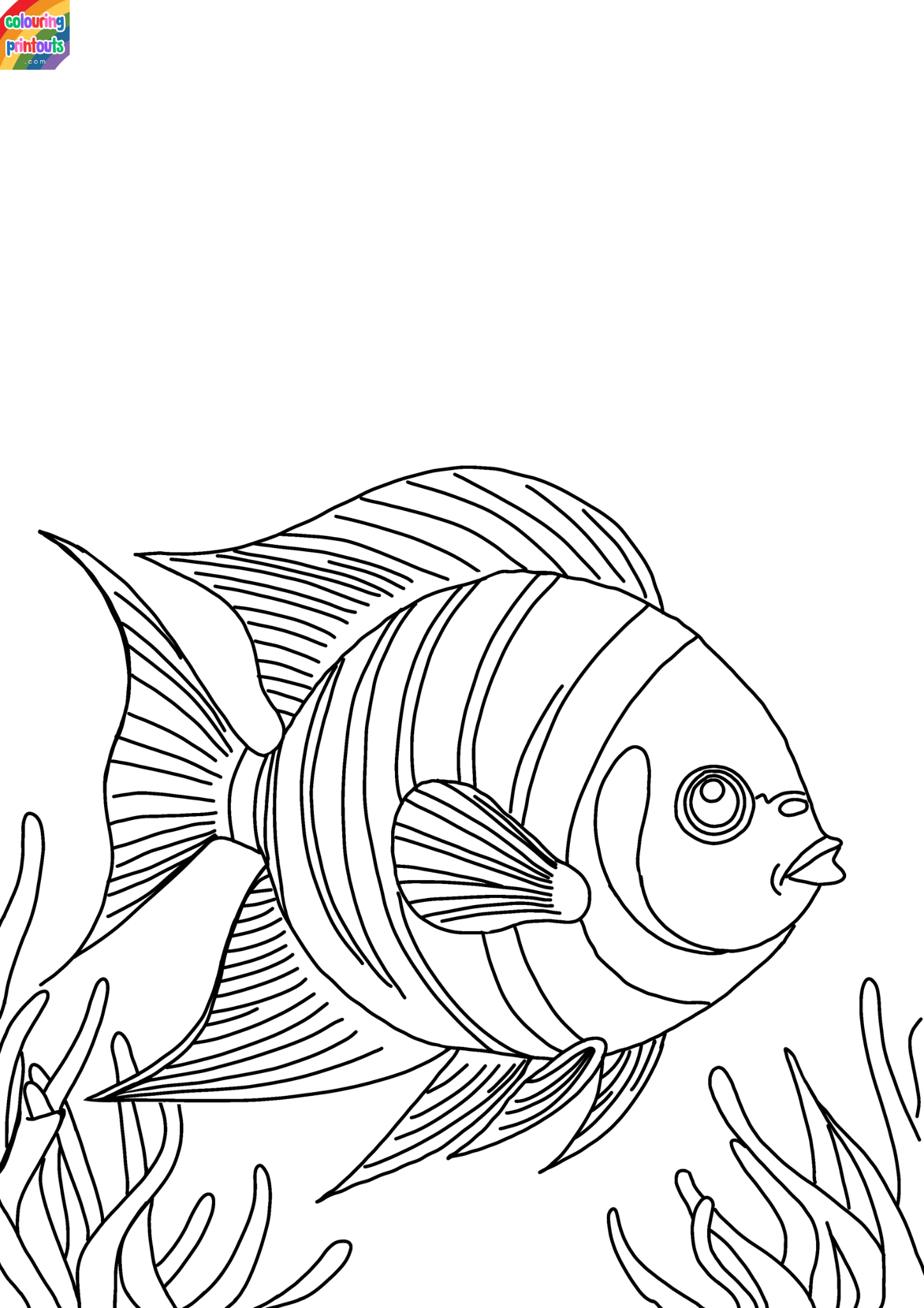 Angelfish Coloring Pages