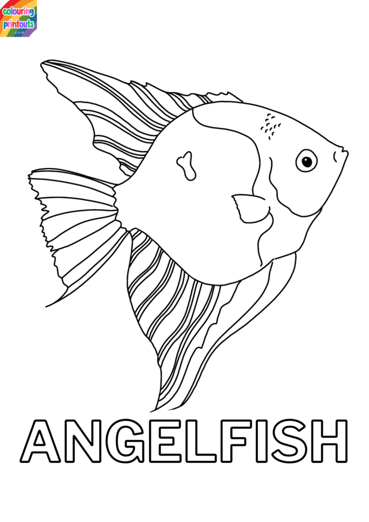 Angelfish Coloring Pages