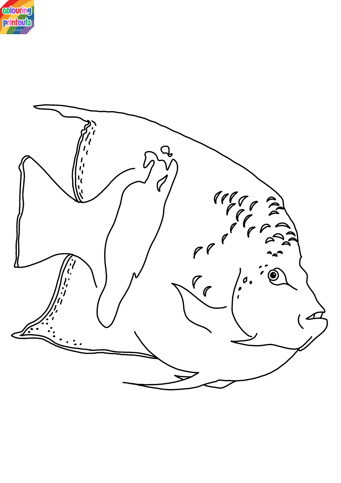 Angelfish Coloring Pages