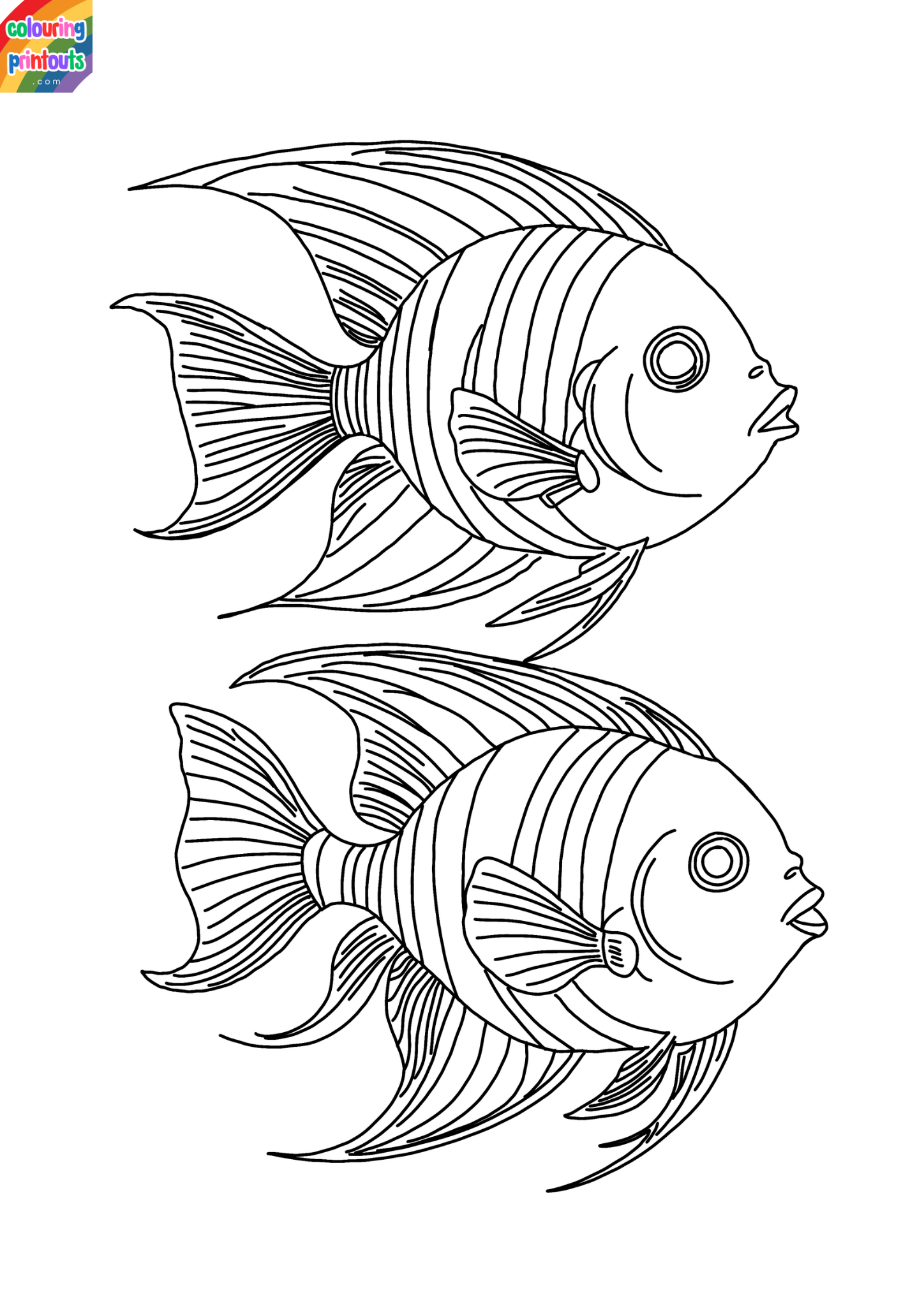 Angelfish Coloring Pages