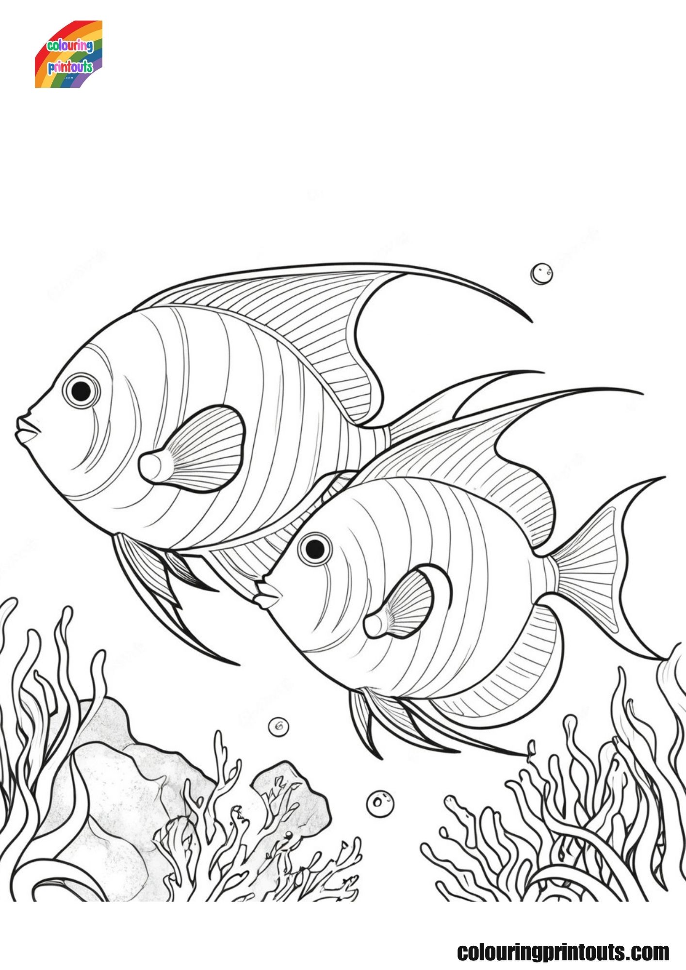 Angelfish Coloring Pages