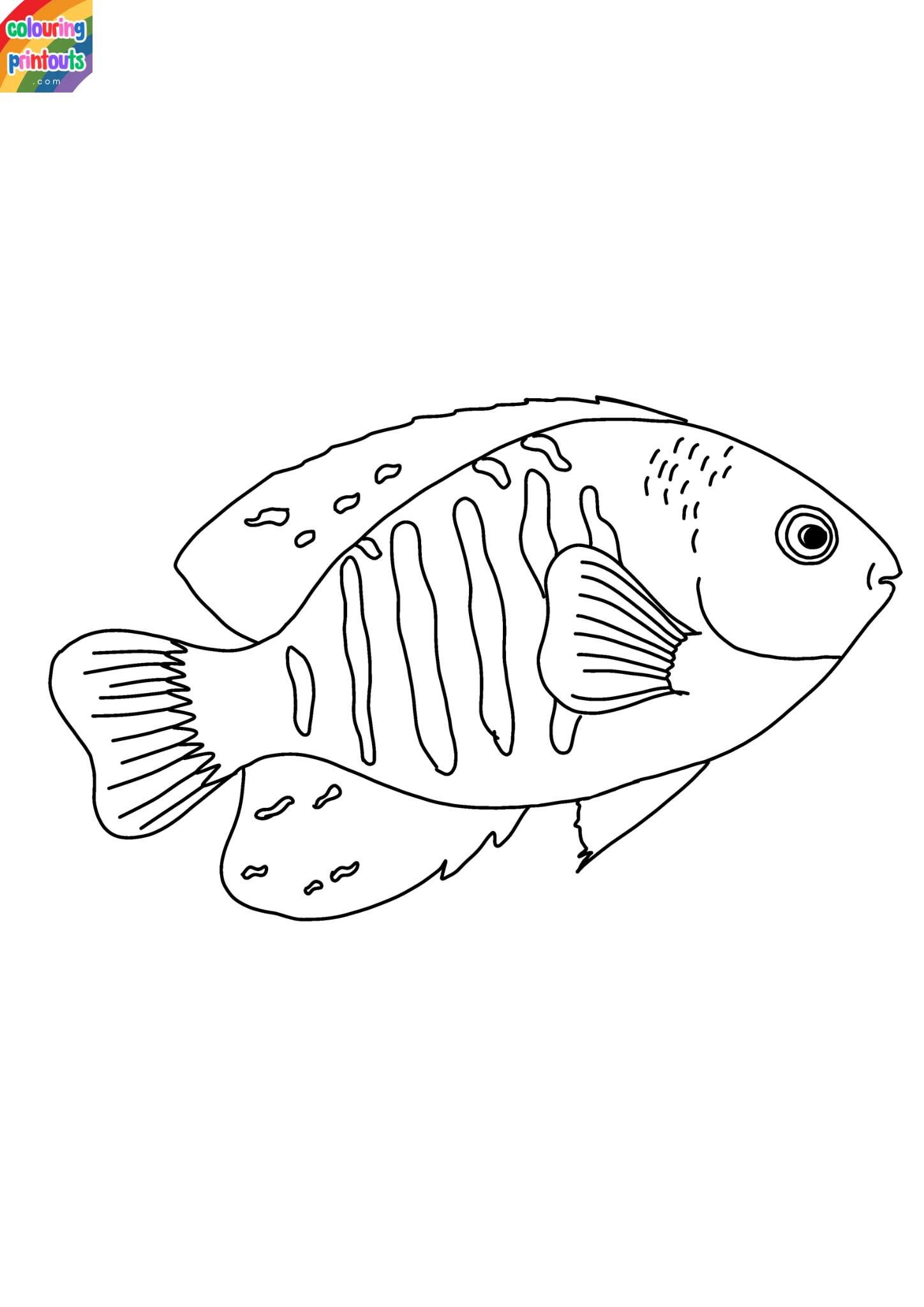 Angelfish Coloring Pages