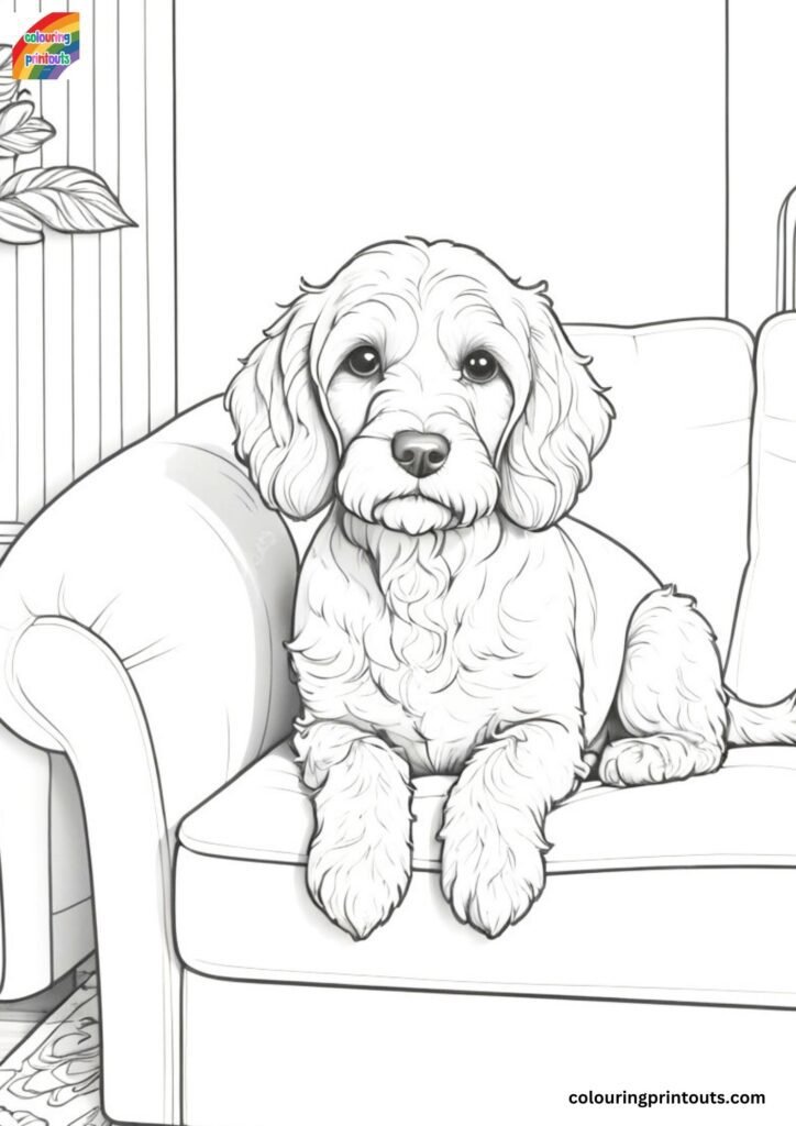 Cockapoo Colouring Pages (Free Download)