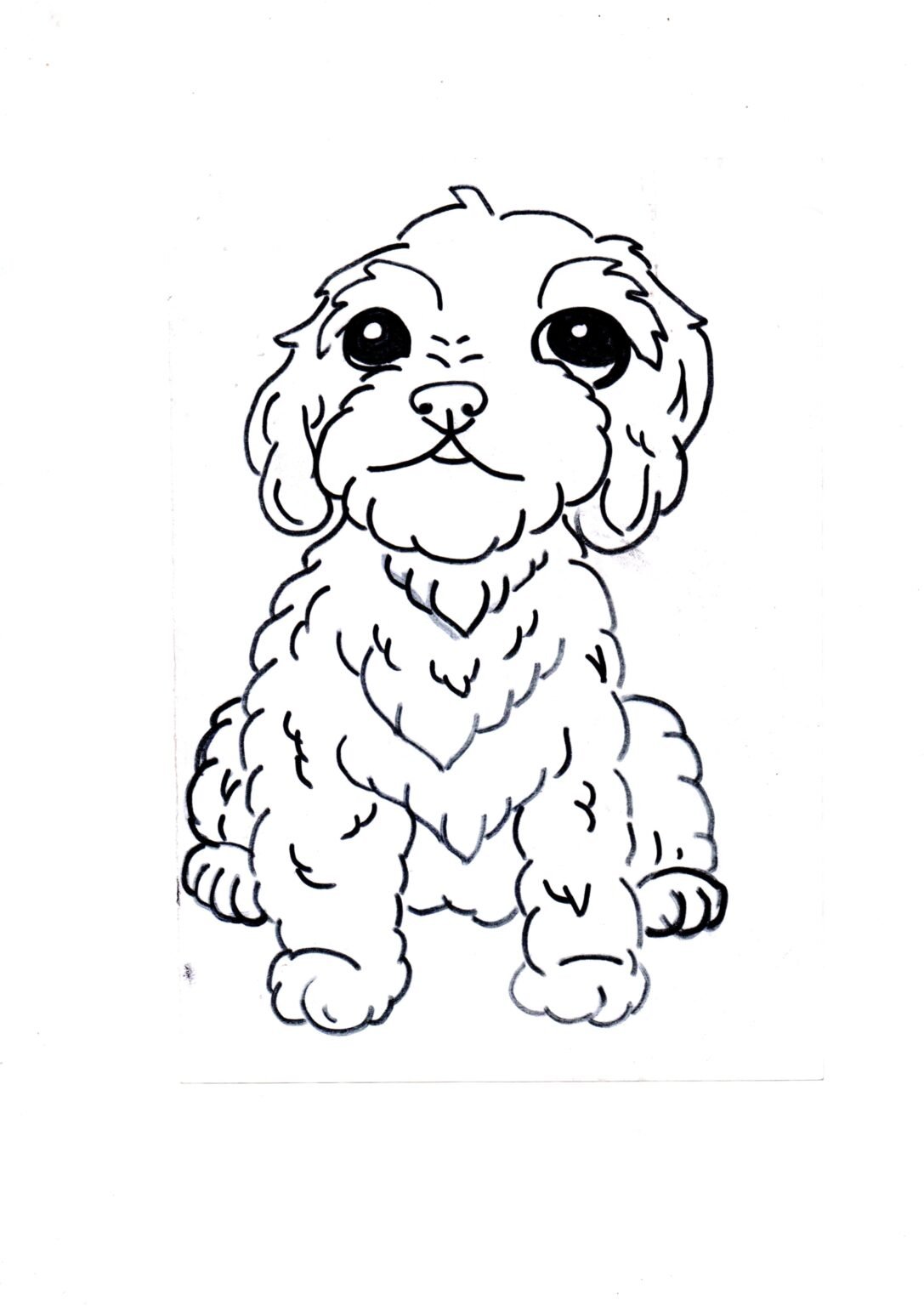 Cockapoo Colouring Pages (Free Download)