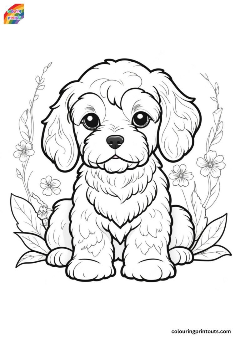 Cockapoo Colouring Pages (Free Download)