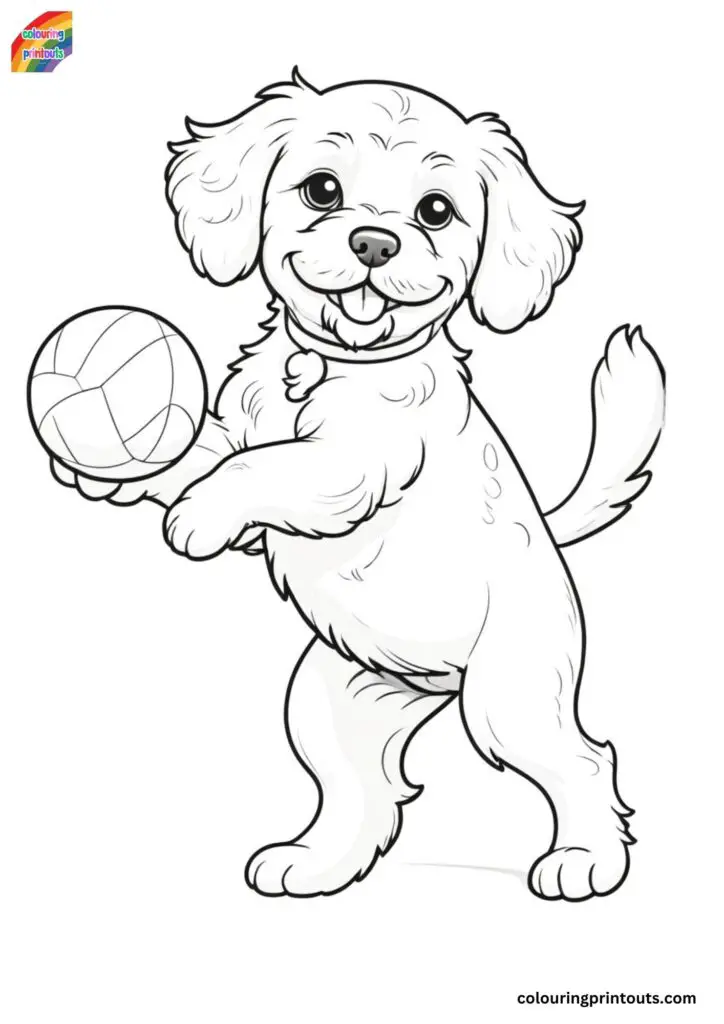 Cockapoo Colouring Pages (10)