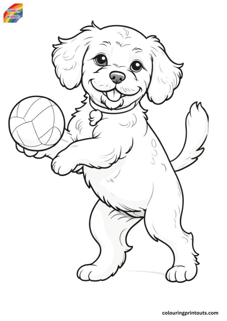 Cockapoo Colouring Pages (Free Download)