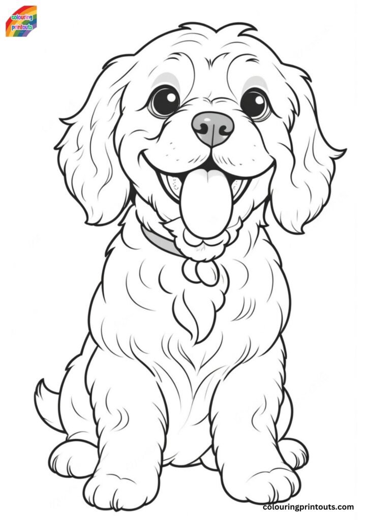 Cockapoo Colouring Pages (Free Download)