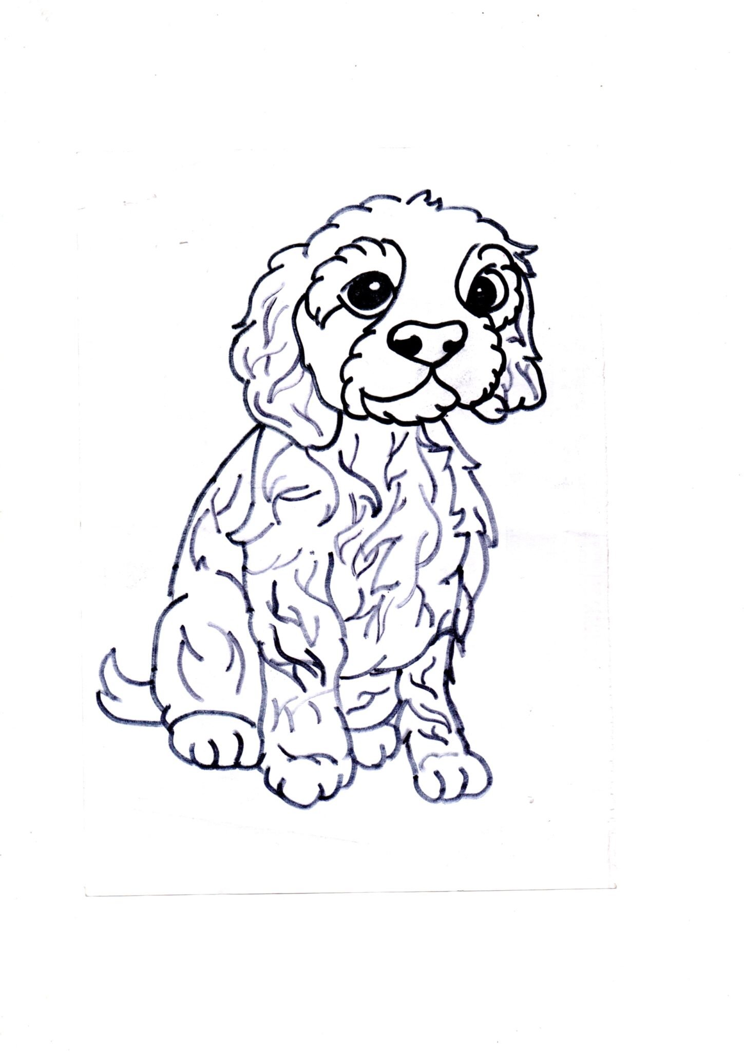 Cockapoo Colouring Pages (Free Download)