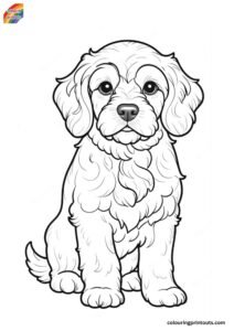 Cockapoo Colouring Pages (Free Download)
