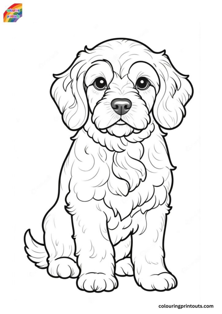 Cockapoo Colouring Pages (Free Download)