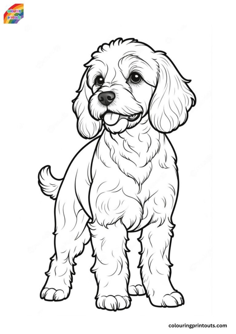 Cockapoo Colouring Pages (Free Download)
