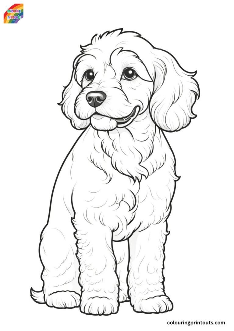 Cockapoo Colouring Pages (Free Download)